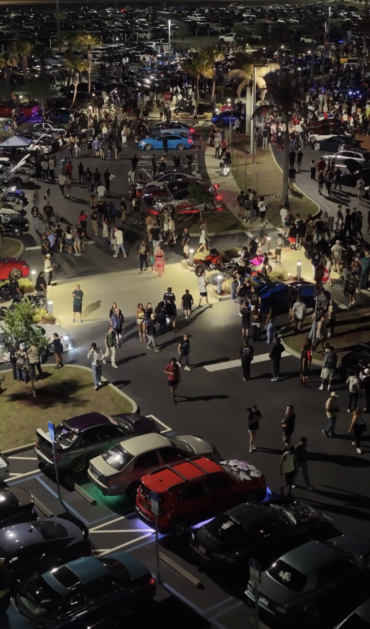 Cars & Stars crowd